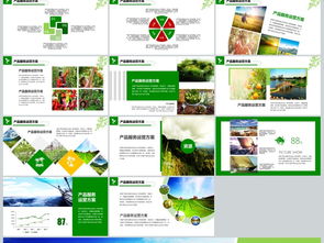 2018年“互聯(lián)網(wǎng)+農(nóng)副產(chǎn)品”市場(chǎng)推廣企業(yè)營(yíng)銷策劃案